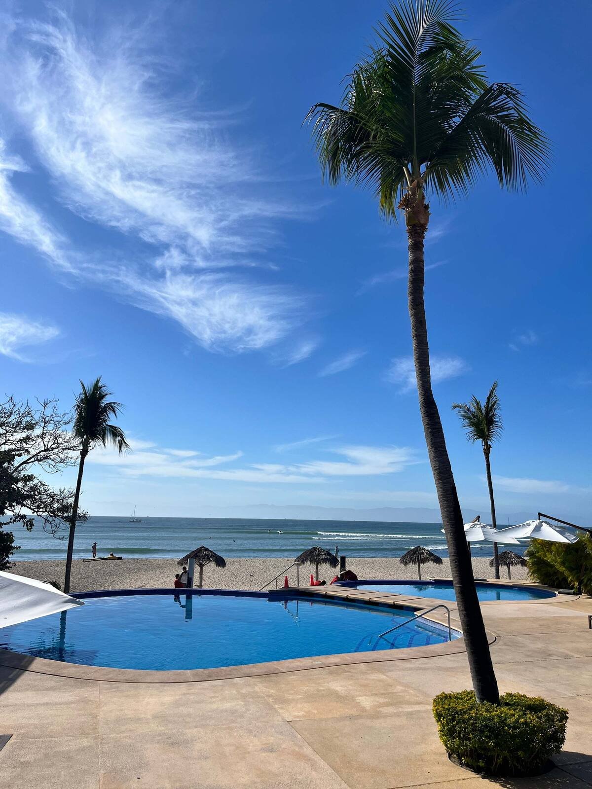 8d1dcd49-6f48-4f12-857d-bcc8ea65f2a8